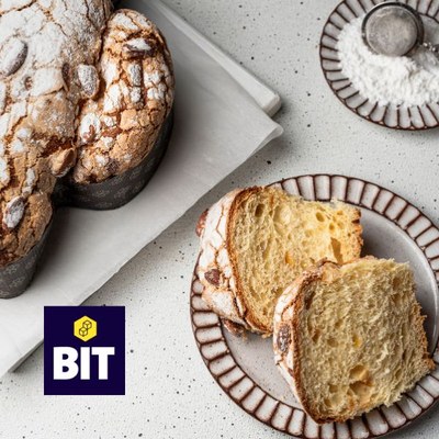 Гамма Фреш BIT