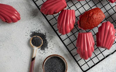 Мадленка Веселка Червона