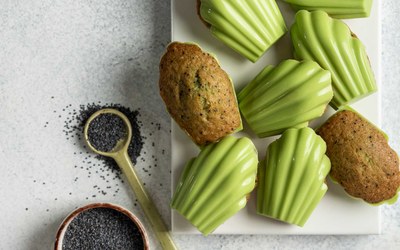 Мадленка Веселка Зелена